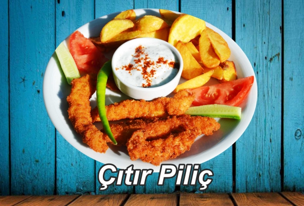 ÇITIR PİLİÇ